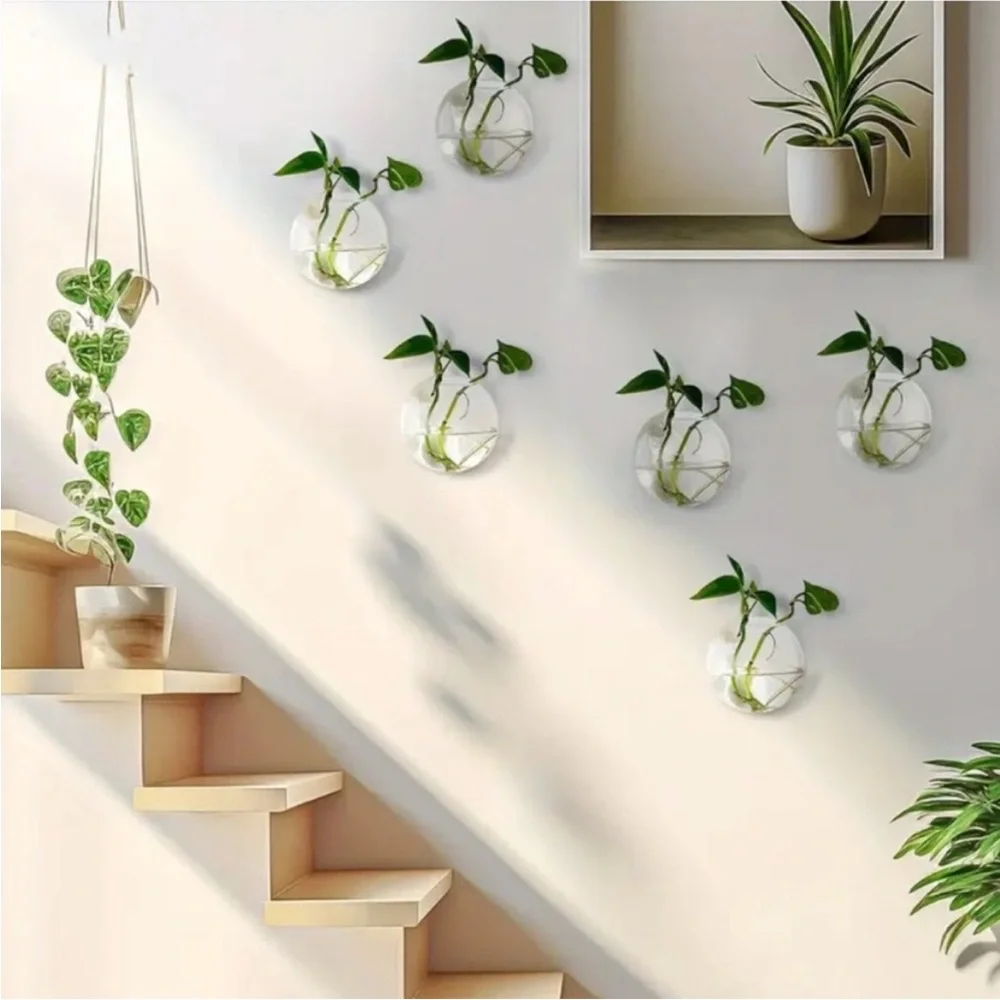 🌿 6 Pc Set of Glass Wall Planter Bowls Brighten Up Your Room 🌾🪴🎋🍃